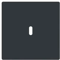 Busch-Jaeger Zentralscheibe 6479-81