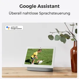 Reolink 5MP PTZ WLAN Weiß