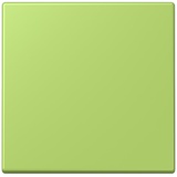 Jung ENOLC990221) EnOcean Funk-Wandsender 2-kanalig, Serie LS, vert clair