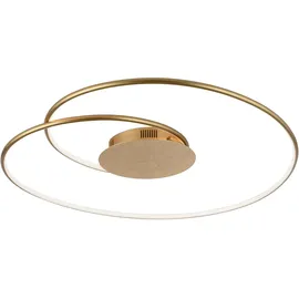 Paul Neuhaus Nastro 1 LED 70 x 65 cm gold