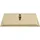 vidaXL Regenbrause Edelstahl 50x50 cm Quadrat Golden