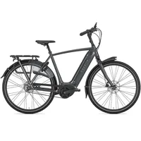 Gazelle Arroyo C5 HMB Elite 2024 28 Zoll RH 57 cm Herren grau