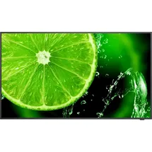 Sharp NEC Display Solutions NEC MultiSync E328-2 Digital Signage Display 80 cm 31,5 Zoll