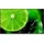 Sharp NEC Display Solutions NEC MultiSync E328-2 Digital Signage Display 80 cm 31,5 Zoll