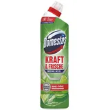 Domestos WC-Reiniger Gel extra stark 750 ml