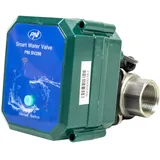 PNI Intelligentes Wasserventil SV200 Green/Silver