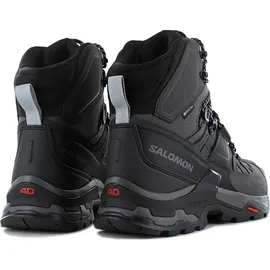 Salomon Quest 4 GTX Herren Magnet/Black/Quarry 42 2/3