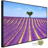 Papermoon Infrarotheizung Lavendel in der Provence 600 W Weiß