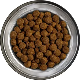 Belcando Oldie & Light 12,5 kg