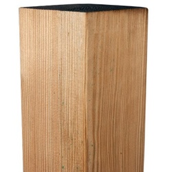 Holzpfosten Kiefer 9 x 9 x 100 cm