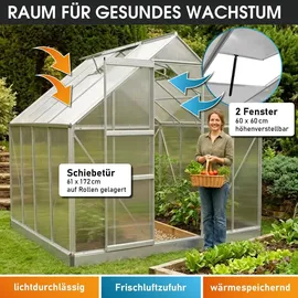 Brast Gewächshaus Aluminium Silber 6 mm 6,25 m2