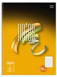 Advanced Notebook DIN A4 80 Blatt 70 g/m2 Lineatur Notes