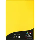Pollen 10x Papier A4 Pollen 120g 50 Blatt - Sonnengelb 4217C