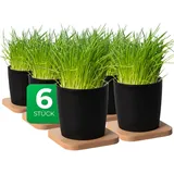 Novaliv 14 x 14 x 14 cm Holz