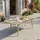 Idimex Sunny Gartentisch 150 x 90 x 77 cm Champagner/Braun