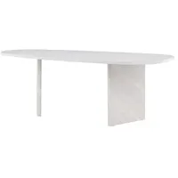 VCM ebuy24 Grönvik Esstisch Oval 100x220 cm Weiß