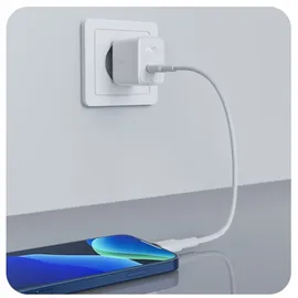 ACEFAST A21 3.0, AFC, FCP wei