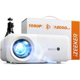 iZEEKER iPL320 1080p