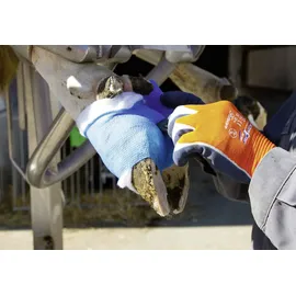 Kerbl Rollwatte Rollino 10cm breit, 3m lang, 8 Stück im Klinikpack