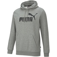 Puma Herren Sweatshirt ESS Big Logo Hoodie FL