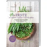lv.buch Ernte an Wegen, Wiesen und Wäldern: Rezepte für wilde Kräuter, Blüten, Früchte, Nüsse und Pilze. Kochbuch mit Wildkräutern und Wildpflanzen zum Essen und Genießen mit vielen vegetarischen Gerichten