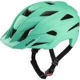 Alpina Kamloop turquoise matt,