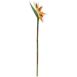 Europalms Paradiesvogel-Blume, orange, 95cm