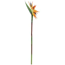 Europalms Paradiesvogel-Blume, orange, 95cm