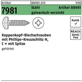 Reyher Kappenkopfblechschraube R 88981 PH 3,9x19-H Stahl galv.verz. 1000St.