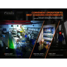 Divine Stunt Scooter Divine Loki schwarz|bunt No Size