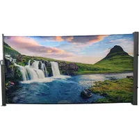 Hti-Living Seitenmarkise 300 x 160 cm Bunt Metall