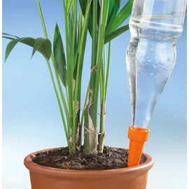 Maximex Bewässerungs-Spikes 6er Set 14,9 x 3 cm orange