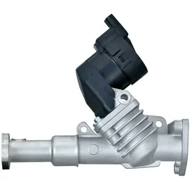 Hella 6NU 014 864-981 AGR-Ventil elektrisch, mit Dichtungen