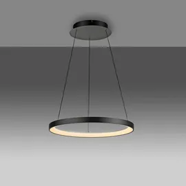 Paul Neuhaus Hoop 2851-18 LED-Pendelleuchte LED LED fest eingebaut 37W Schwarz