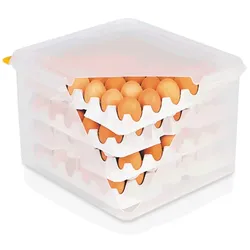 3x HACCP Eierbox Transportbox