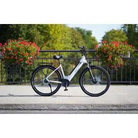 Prophete Geniesser 2.0 28 Zoll RH 48 cm Weiß