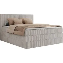 MKS Meble Boxspringbett TILIANO KING - 160/200 - Hellgrau Cord - H4,