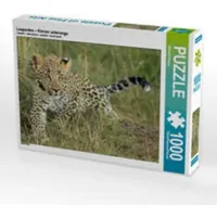 Calvendo Leoparden – Kleiner unterwegs 1000 Teile Puzzle Quer