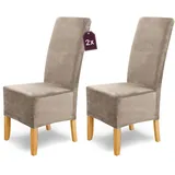 SCHEFFLER-Home Stretch Stuhlhussen Samt Puma Velvet/Velours Stuhlhussen 2er Set Stein-Beige/Stuhlabdeckung als Stuhlhussen Schwingstühle/Spann-Stuhlhussen Lang/eleganter Chenille Stuhlüberzug