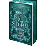 Reverie Born of Salt and Storm
