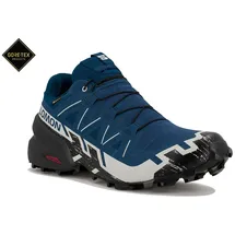 Salomon Speedcross 6 Gore-Tex Herren Poseidon / Black / Lunar Rock 40