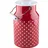 RIESS Milchkanne Milchkannen (2 l)