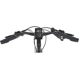 Prophete Entdecker 5.0 36V 28 Zoll RH 55 cm Schwarz-Silber Matt