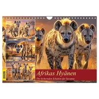 Calvendo Afrikas Hyänen. Die kichernden Schatten der Savanne (Wandkalender