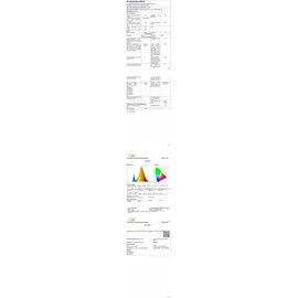 Lumineo Lichterkette Compact 750 LED warmweiß 16m transparent außen - Weiß