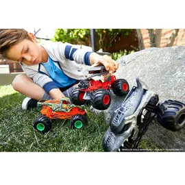 Hot Wheels Monstertrucks Auto mehrfarbig 1:24