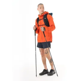 Black Diamond Distance Carbon FKT Stöcke 120 cm schwarz