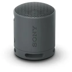 Sony SRSXB100B