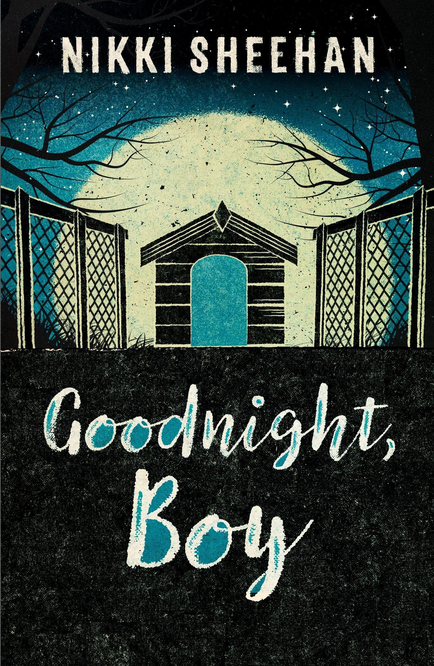 Goodnight  Boy - Nikki Sheehan  Taschenbuch