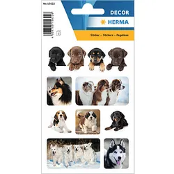 HERMA Aufkleber Hunde, 24 Etiketten